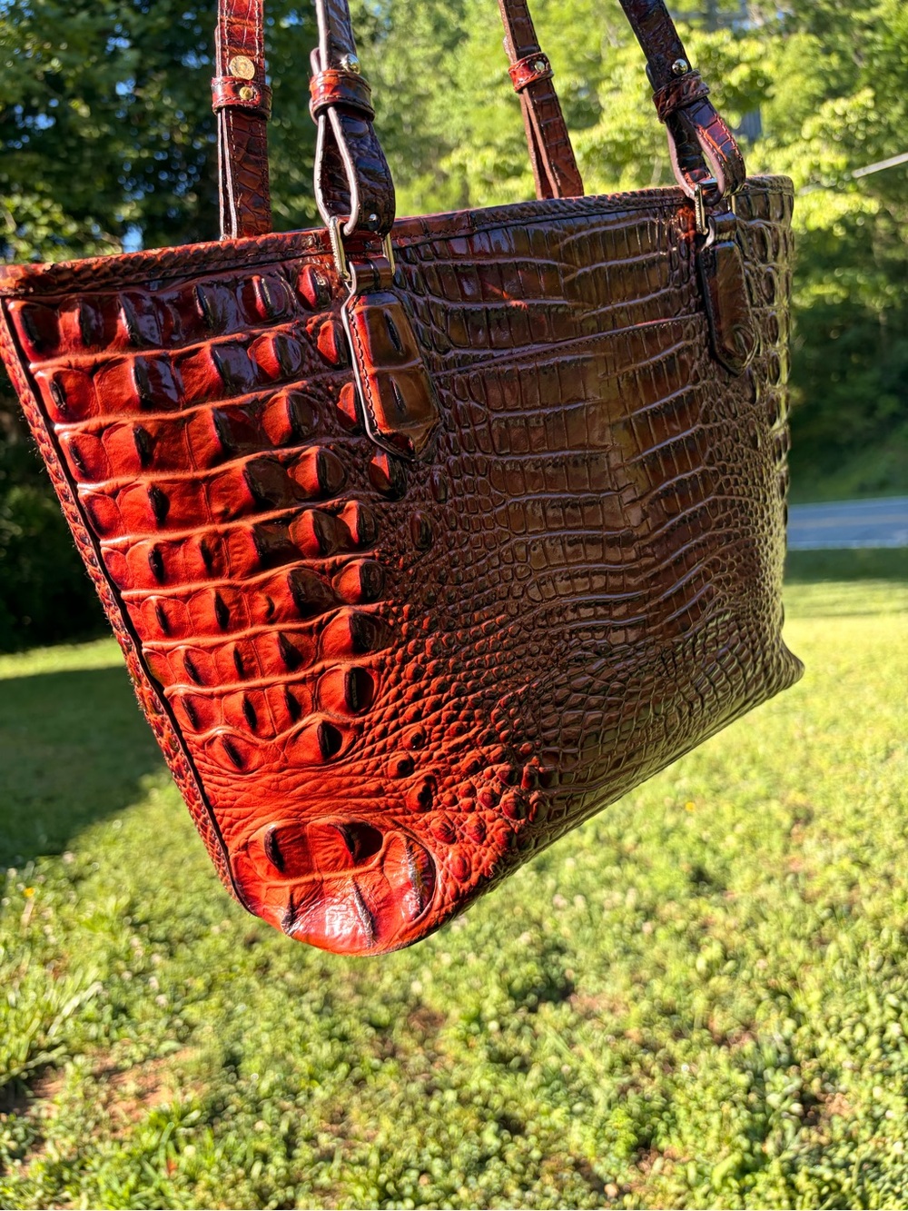 Brahmin Pecan Asher
Croc-Embossed Leather Tote Bag - Picture 10 of 11